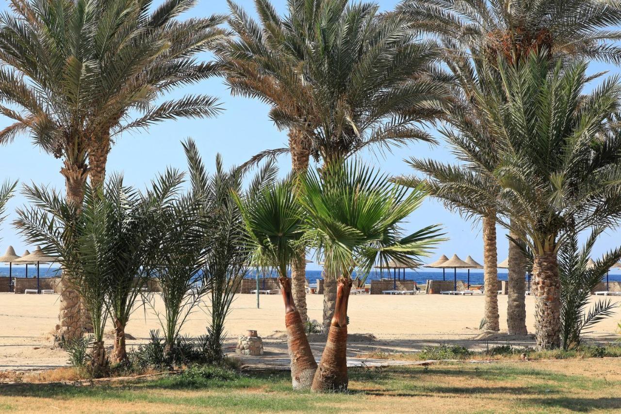 Pensee Royal Garden Beach Resort El Qoseir Esterno foto